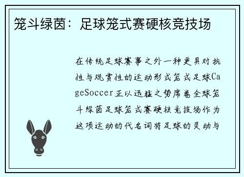 笼斗绿茵：足球笼式赛硬核竞技场